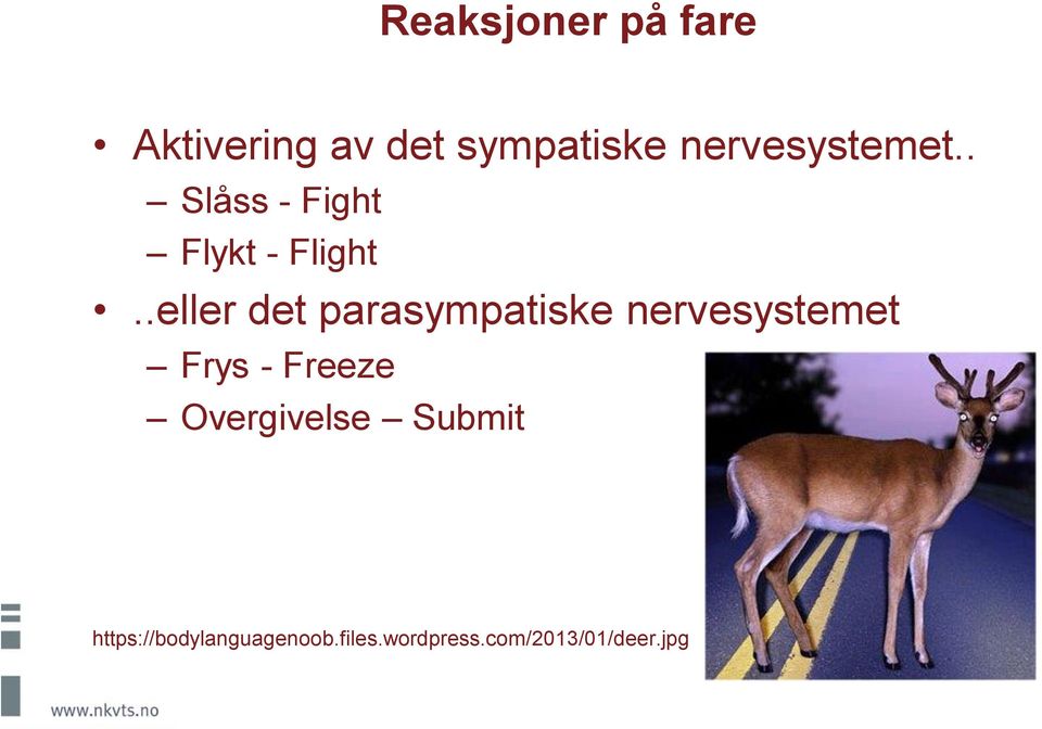 .eller det parasympatiske nervesystemet Frys - Freeze