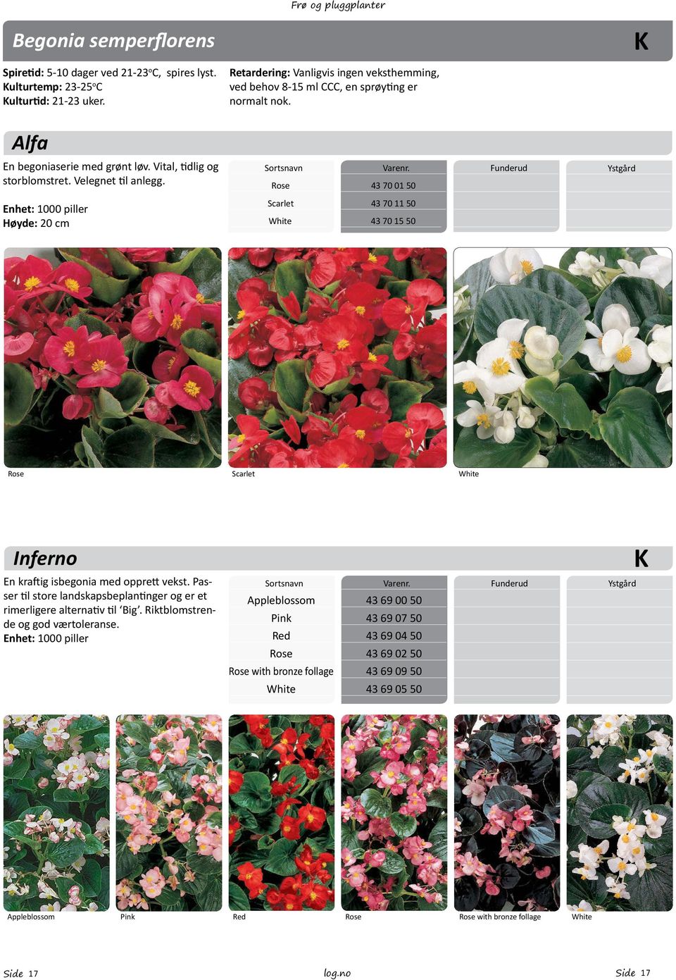 Sortsnavn Rose Varenr. 43 70 01 50 Funderud Ystgård Enhet: 1000 piller Høyde: 20 cm Scarlet White 43 70 11 50 43 70 15 50 Rose Scarlet White Inferno K En kraftig isbegonia med opprett vekst.