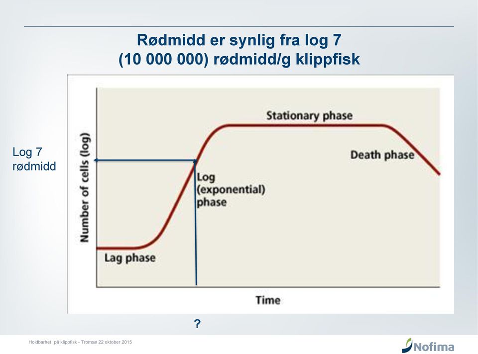 000) rødmidd/g