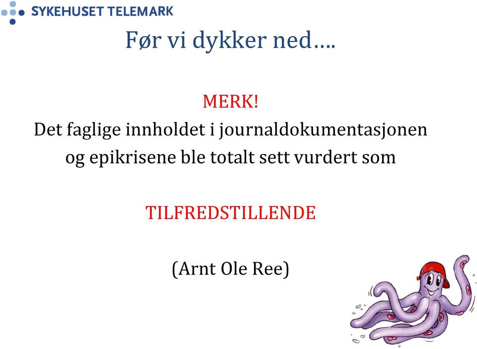 journaldokumentasjonen og epikrisene