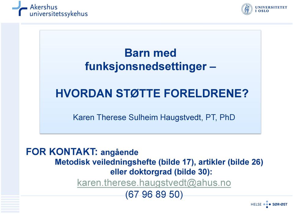 Metodisk veiledningshefte (bilde 17), artikler (bilde 26) eller