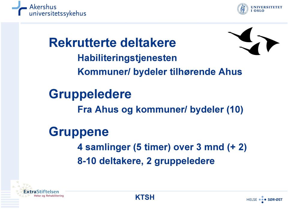 Ahus og kommuner/ bydeler (10) Gruppene 4 samlinger