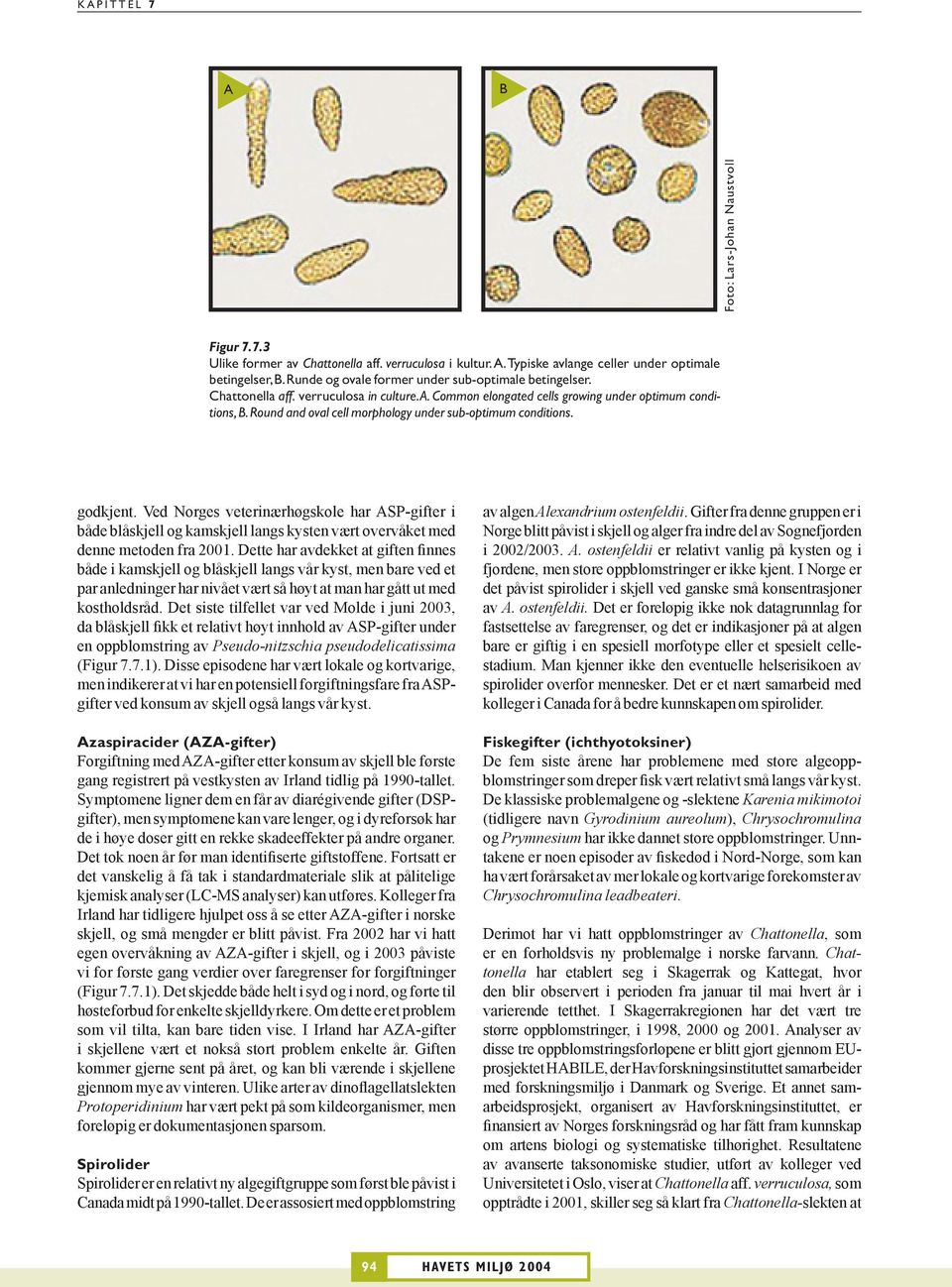 Round and oval cell morphology under sub-optimum conditions. godkjent. Ved Norges veterinærhøgskole har ASP-gifter i både blåskjell og kamskjell langs kysten vært overvåket med denne metoden fra 2001.