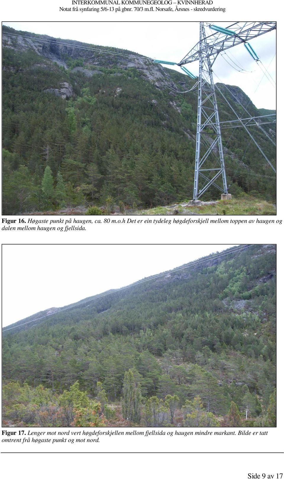 mellom haugen og fjellsida. Figur 17.