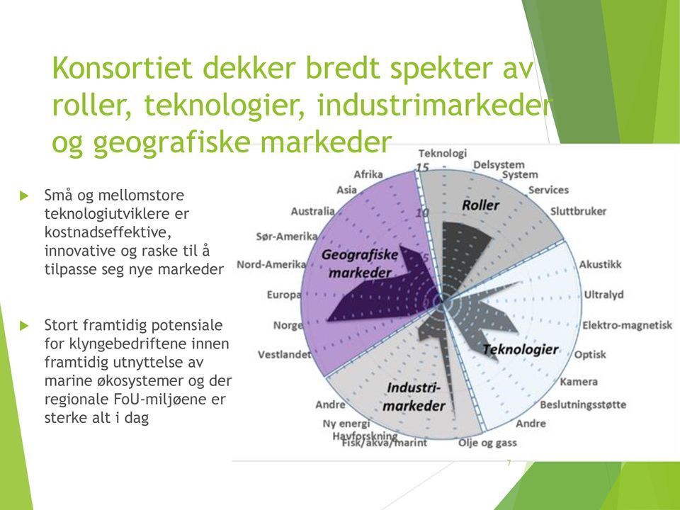 til å tilpasse seg nye markeder Stort framtidig potensiale for klyngebedriftene innen