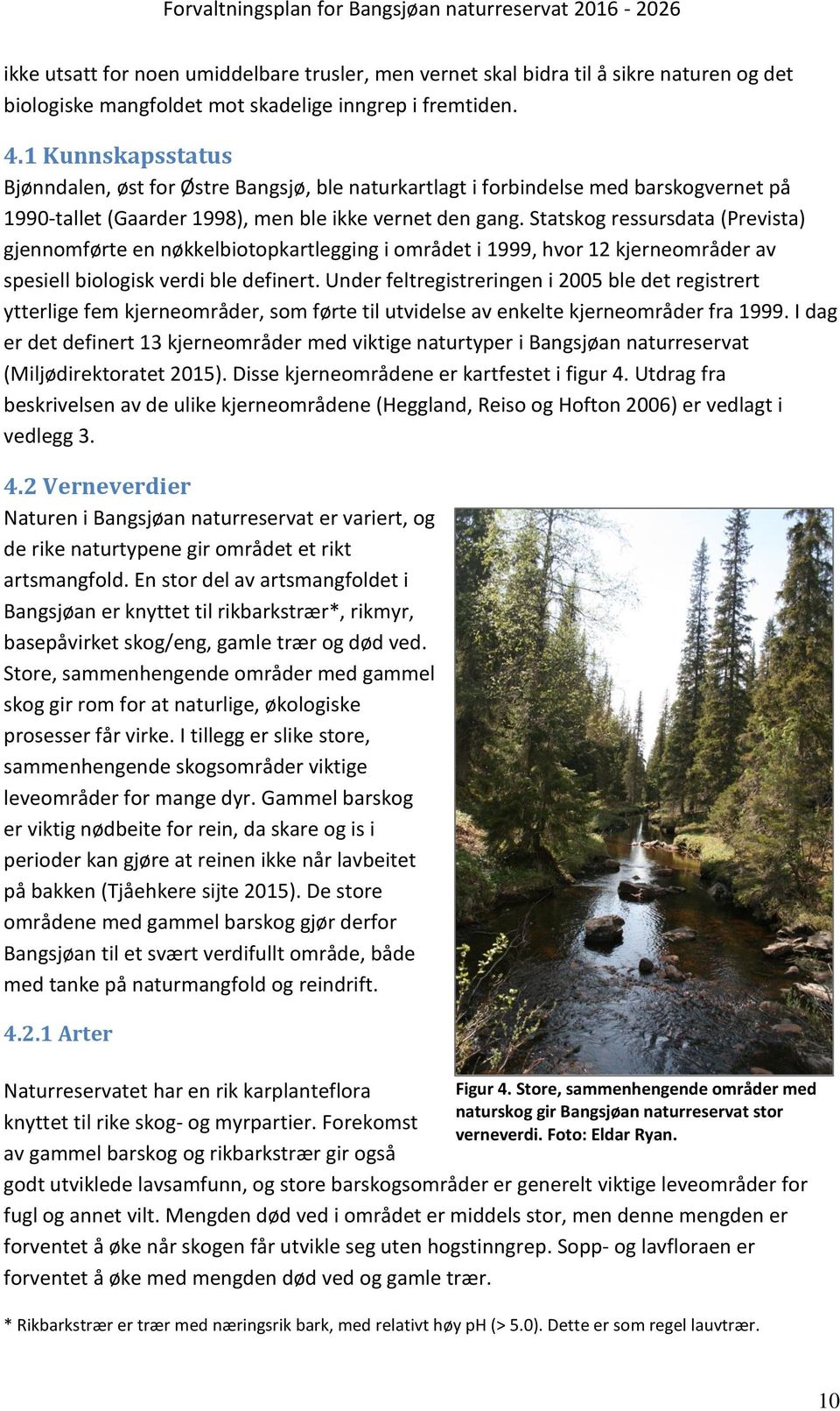 Statskog ressursdata (Prevista) gjennomførte en nøkkelbiotopkartlegging i området i 1999, hvor 12 kjerneområder av spesiell biologisk verdi ble definert.