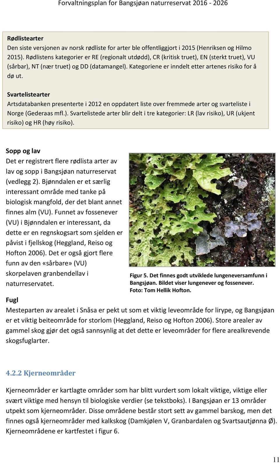 Svartelistearter Artsdatabanken presenterte i 2012 en oppdatert liste over fremmede arter og svarteliste i Norge (Gederaas mfl.).