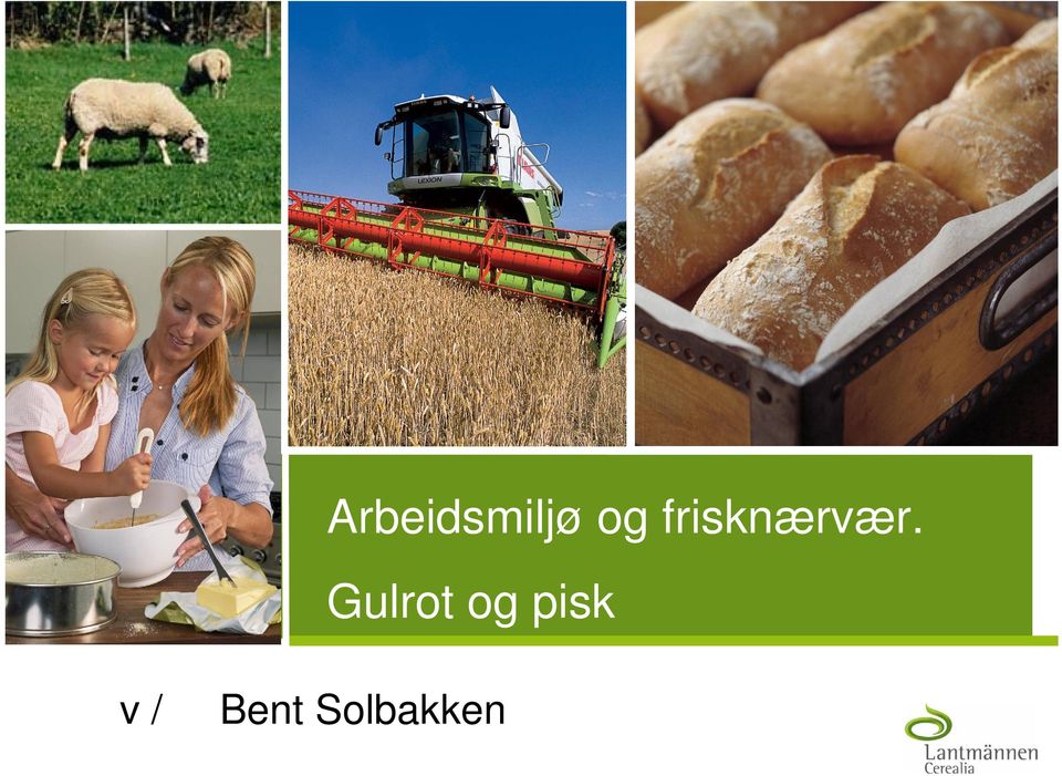 Gulrot og pisk