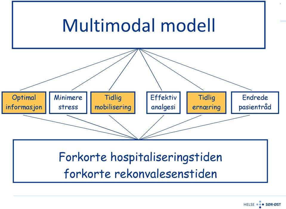 mobilisering analgesi ernæring pasientråd