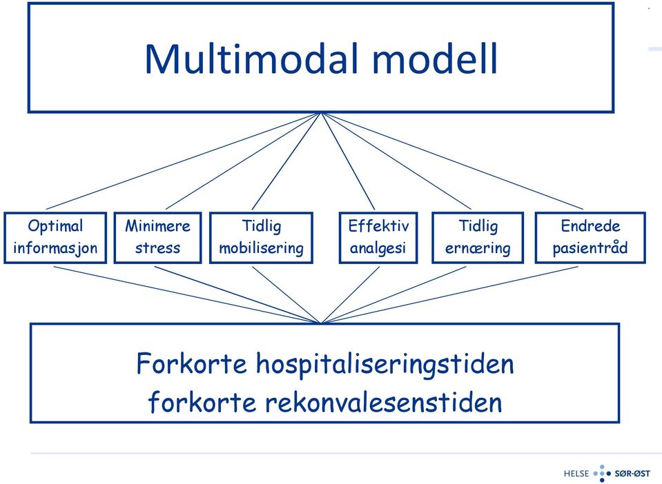 mobilisering analgesi ernæring pasientråd