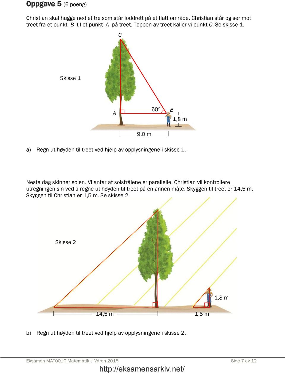 Vi antar at solstrålene er parallelle. Christian vil kontrollere utregningen sin ved å regne ut høyden til treet på en annen måte. Skyggen til treet er 14,5 m.