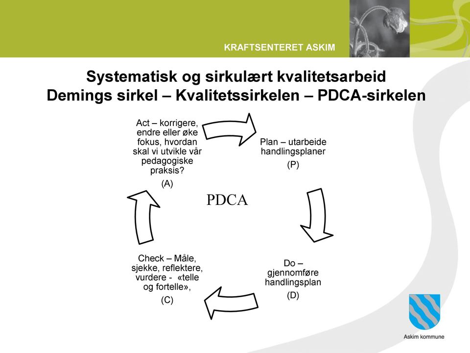 pedagogiske praksis?