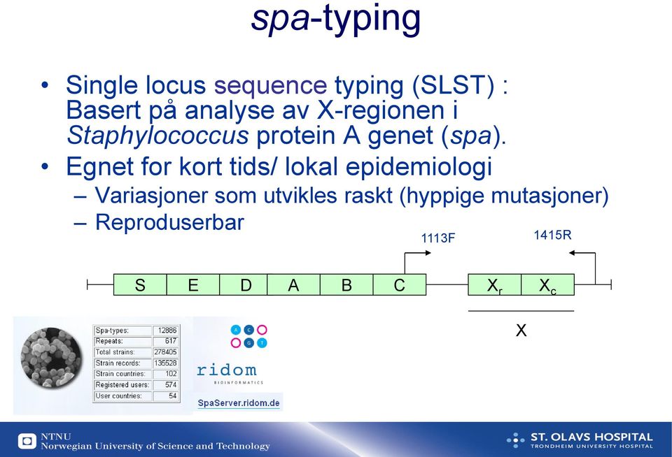 Egnet for kort tids/ lokal epidemiologi Variasjoner som utvikles