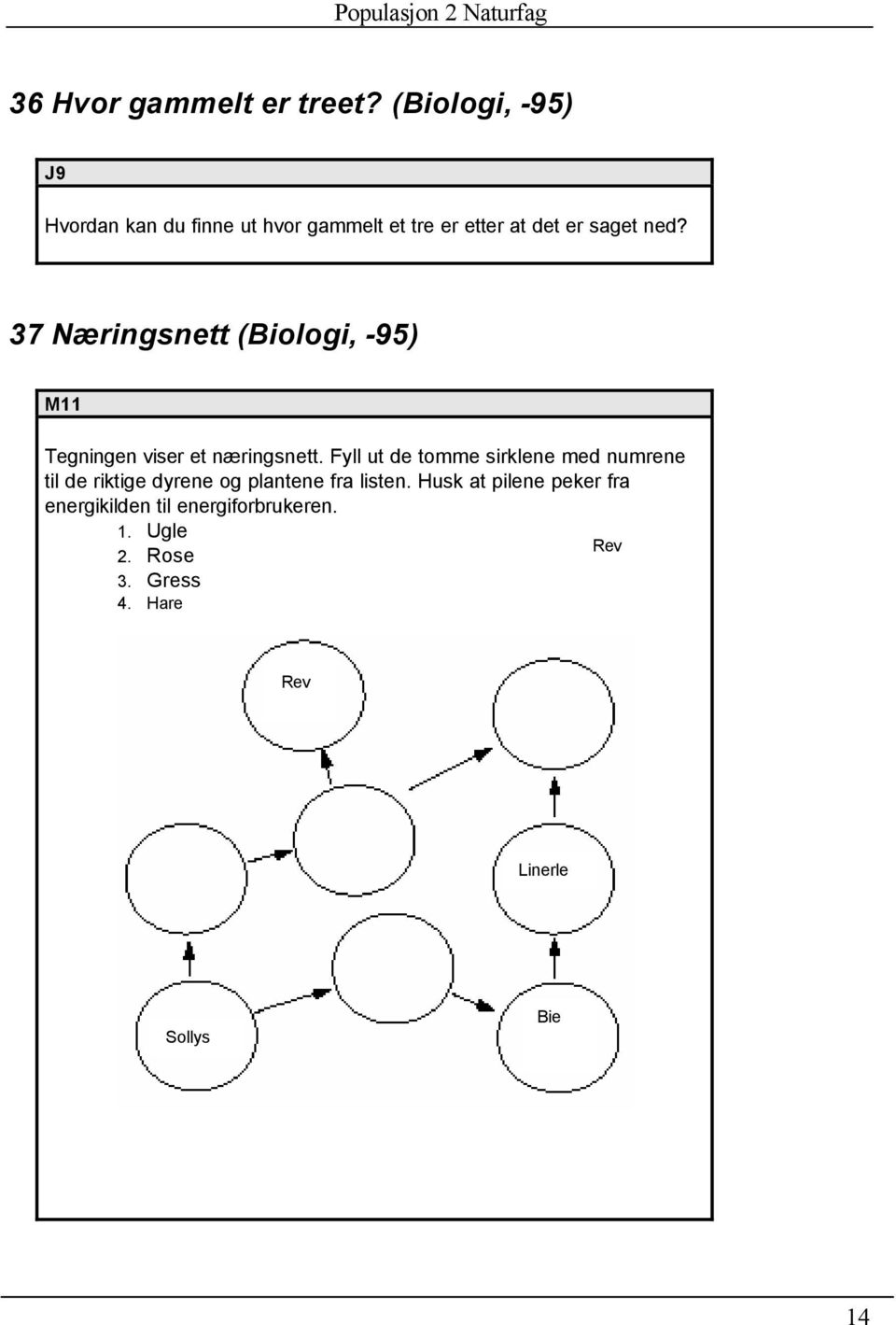 37 Næringsnett (Biologi, -95) M11 Tegningen viser et næringsnett.