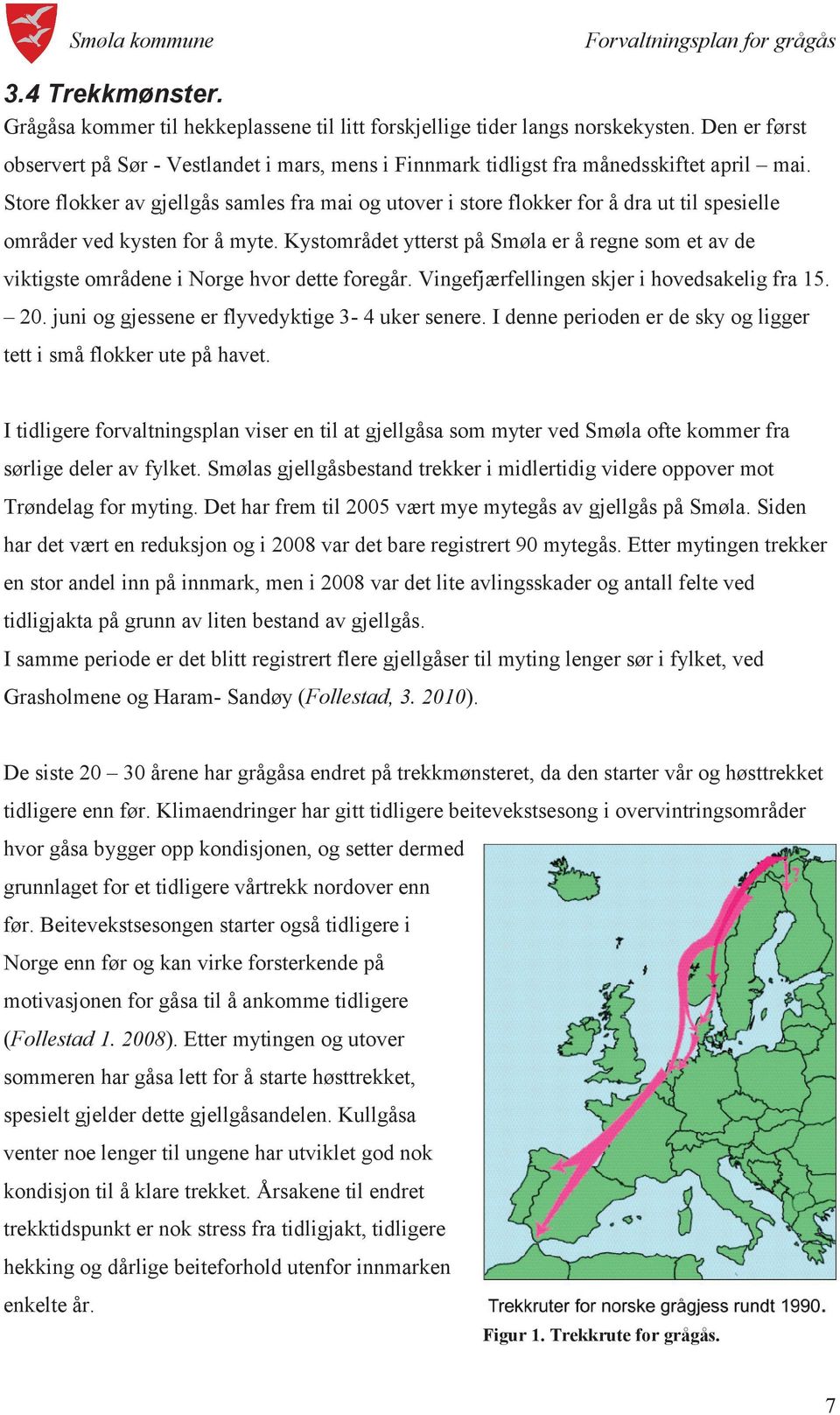 Store flokker av gjellgås samles fra mai og utover i store flokker for å dra ut til spesielle områder ved kysten for å myte.