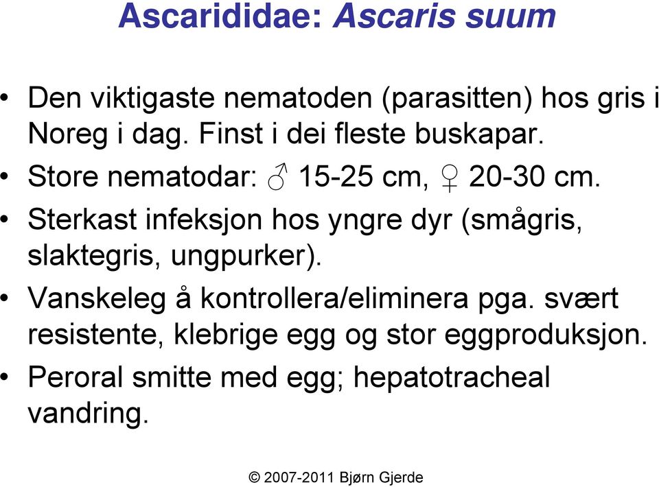 Sterkast infeksjon hos yngre dyr (smågris, slaktegris, ungpurker).