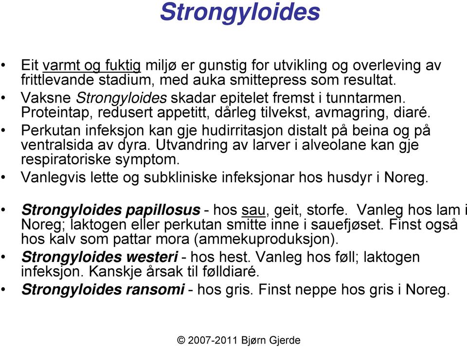 Utvandring av larver i alveolane kan gje respiratoriske symptom. Vanlegvis lette og subkliniske infeksjonar hos husdyr i Noreg. Strongyloides papillosus -hos sau, geit, storfe.