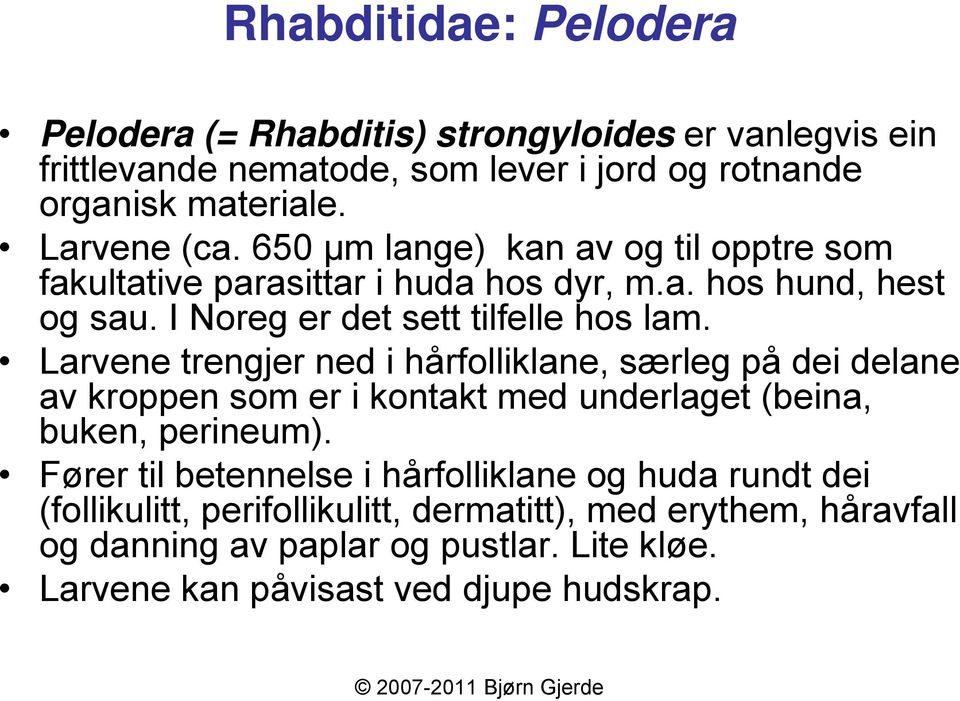 Larvene trengjer ned i hårfolliklane, særleg på dei delane av kroppen som er i kontakt med underlaget (beina, buken, perineum).