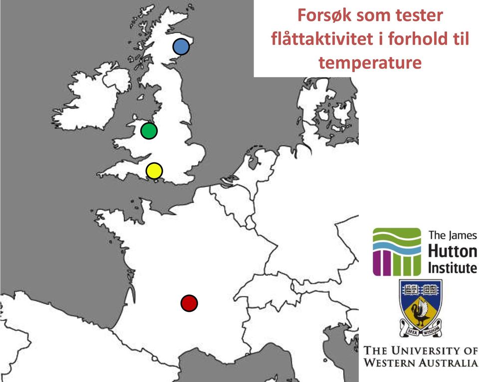 flåttaktivitet