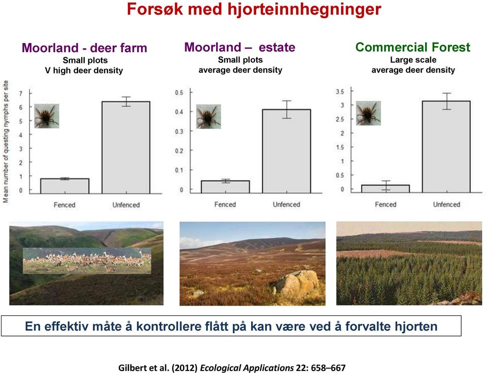 Large scale average deer density En effektiv måte å kontrollere flått på kan