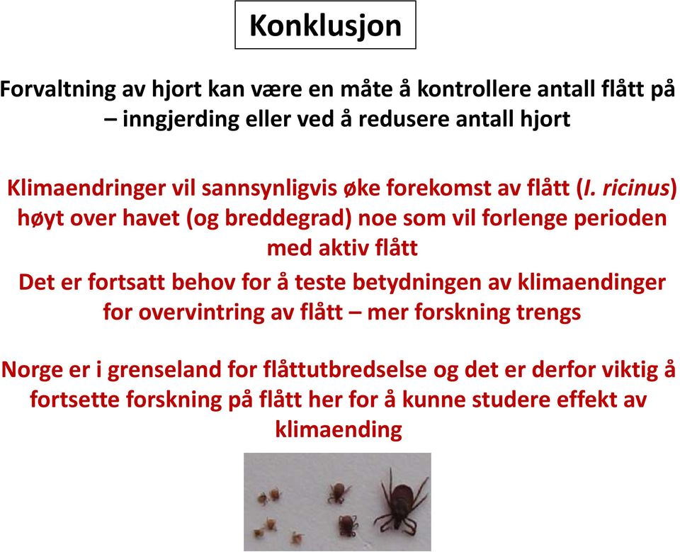 ricinus) høyt over havet (og breddegrad) noe som vil forlenge perioden med aktiv flått Det er fortsatt behov for å teste