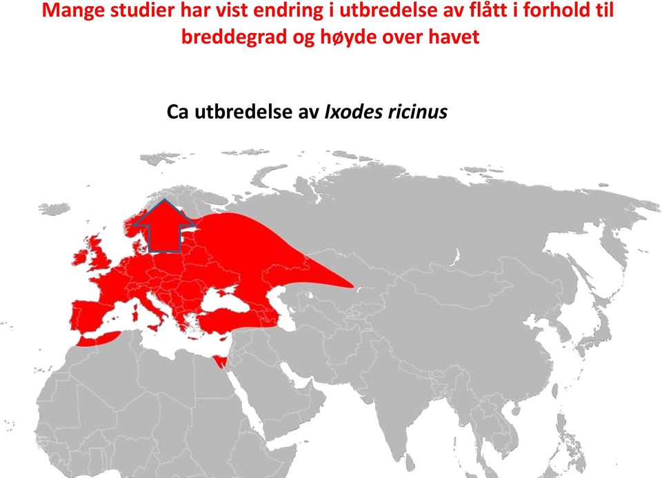 til breddegrad og høyde over