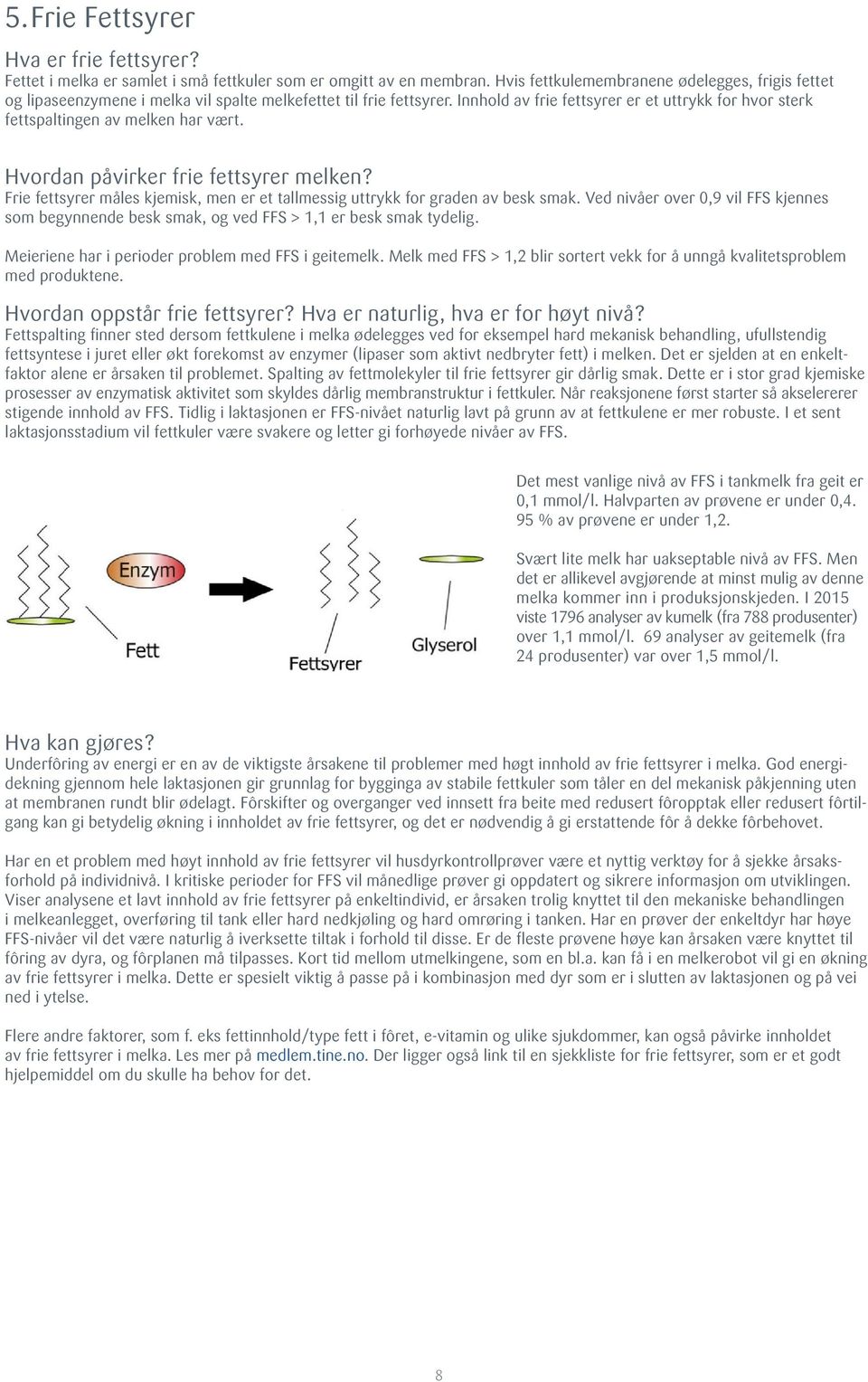 Innhold av frie fettsyrer er et uttrykk for hvor sterk fettspaltingen av melken har vært. Hvordan påvirker frie fettsyrer melken?