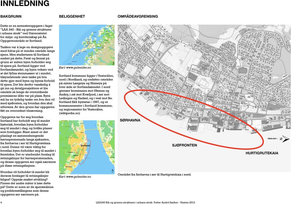 Tanken var å lage en designoppgave med fokus på et mindre område langs sjøen. Men studieturen til Sortland endret på dette. Først og fremst på grunn av måten byen forholder seg til sjøen på.