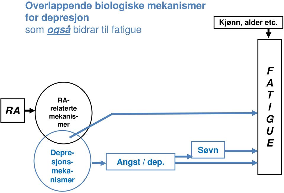 Kjønn, alder etc.