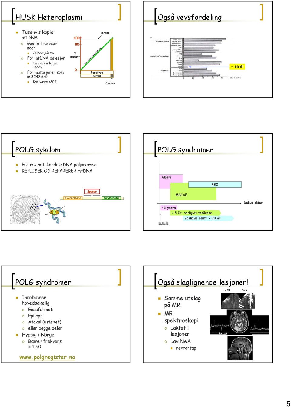 ! POLG sykdom POLG syndromer POLG = mitokondrie DNA polymerase REPLSER OG REPARERER mtdna Alpers PEO mtdna POLG2 exonulease POLG1 Spaer polymerase MSCAE <2 years > 5 år; vanligvis