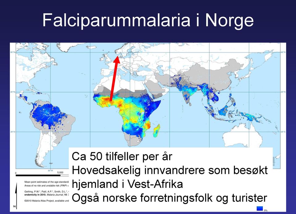 innvandrere som besøkt hjemland i