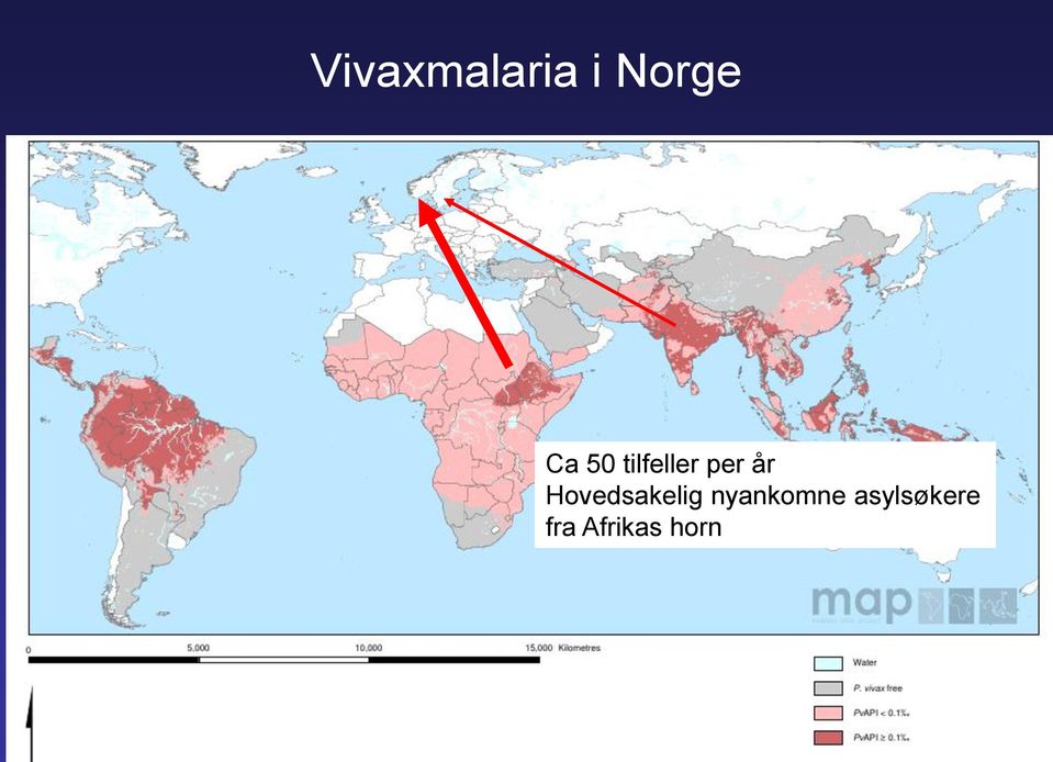 Hovedsakelig nyankomne