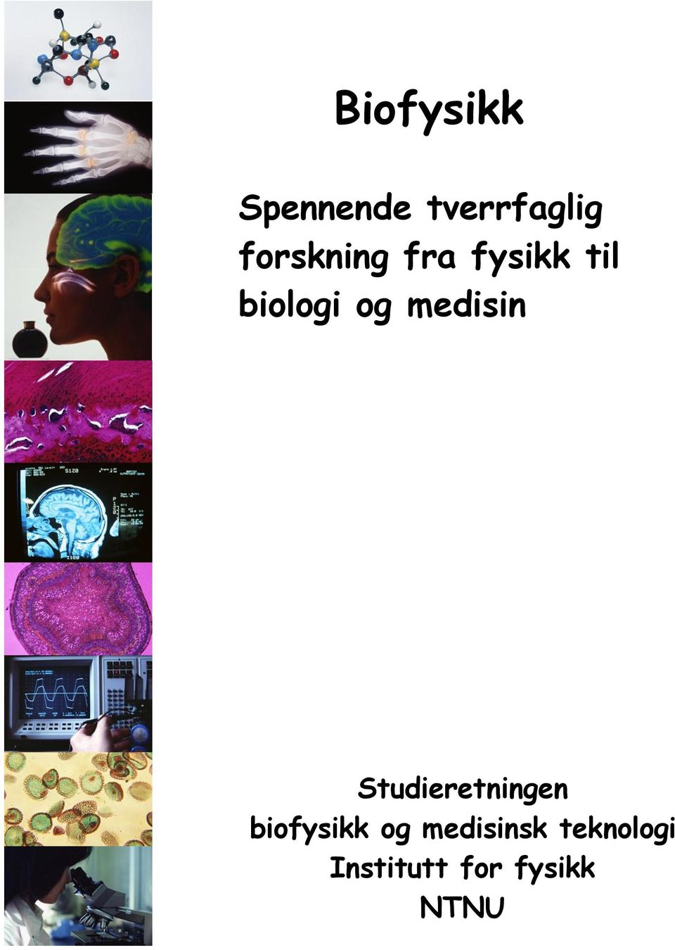 medisin Studieretningen biofysikk og