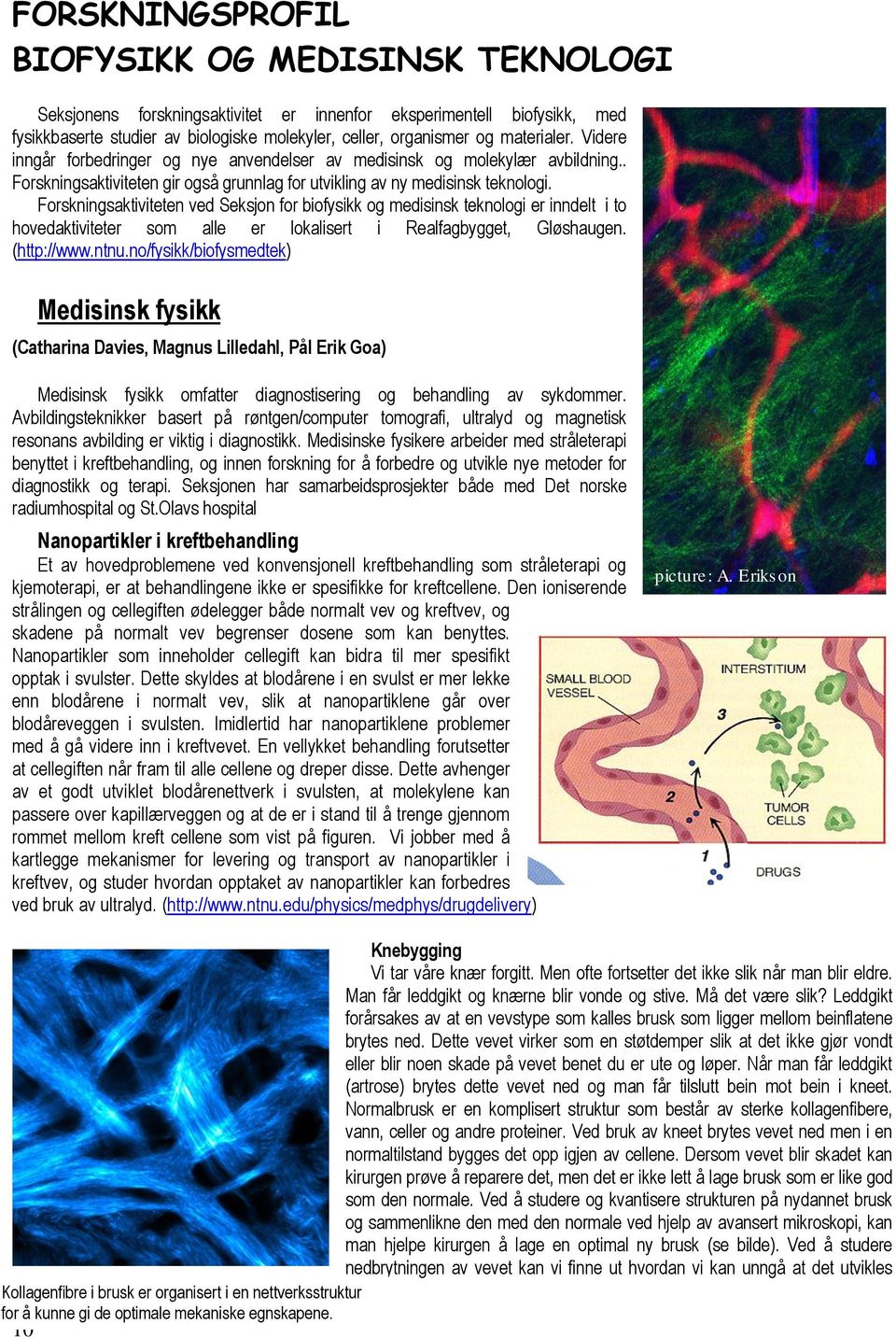 Forskningsaktiviteten ved Seksjon for biofysikk og medisinsk teknologi er inndelt i to hovedaktiviteter som alle er lokalisert i Realfagbygget, Gløshaugen. (http://www.ntnu.