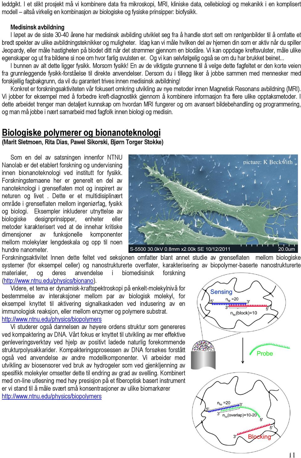 biofysikk.