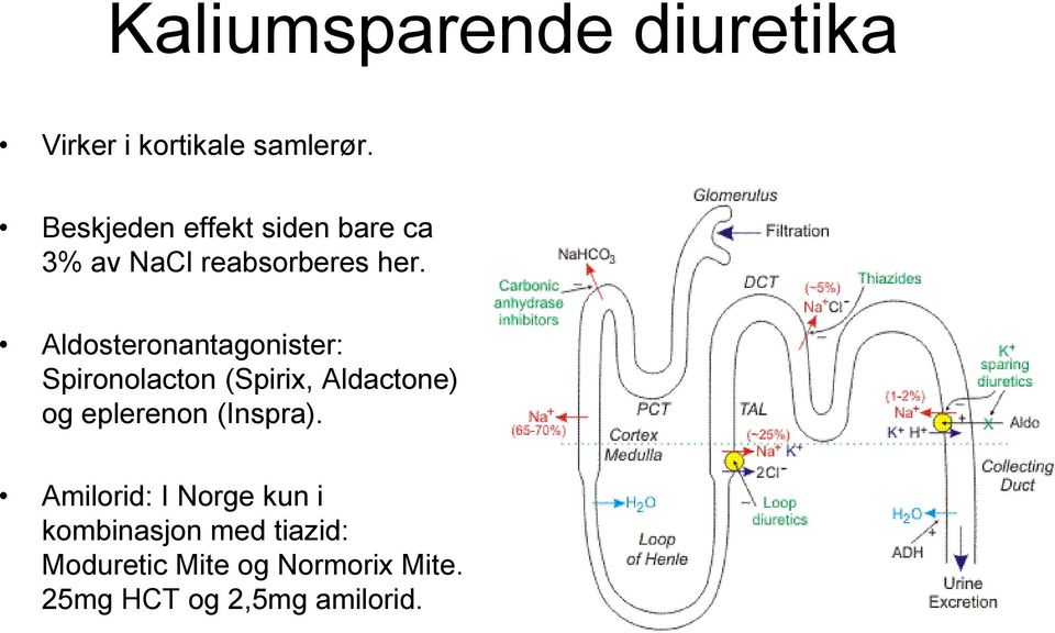 Aldosteronantagonister: Spironolacton (Spirix, Aldactone) og eplerenon