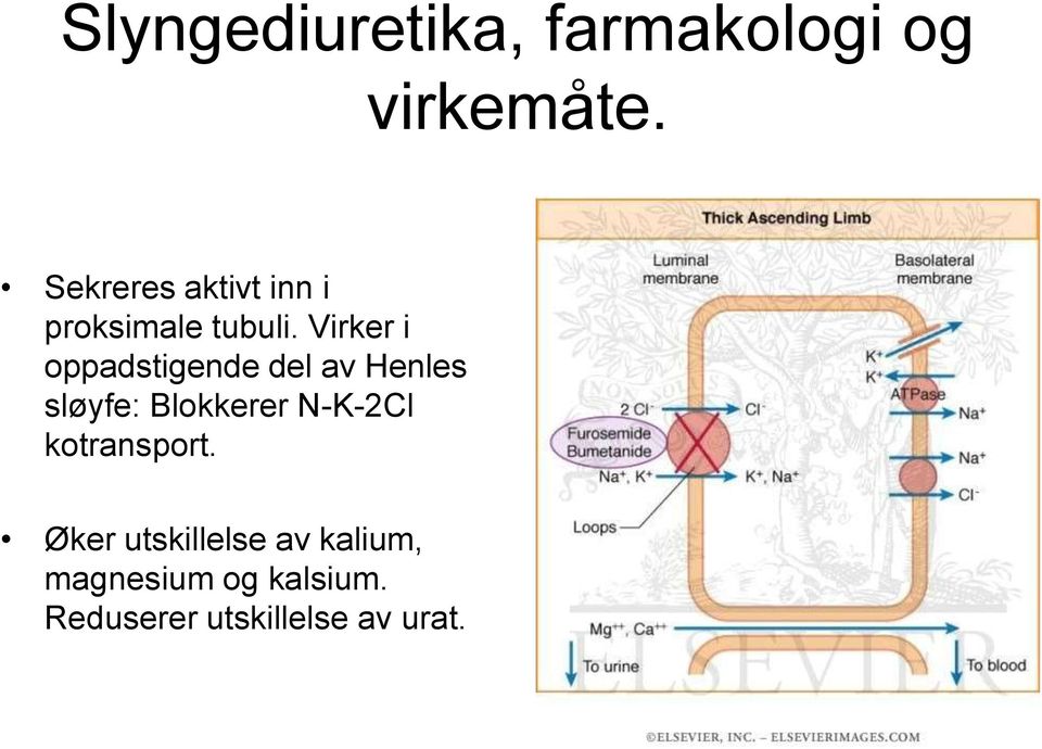 Virker i oppadstigende del av Henles sløyfe: Blokkerer