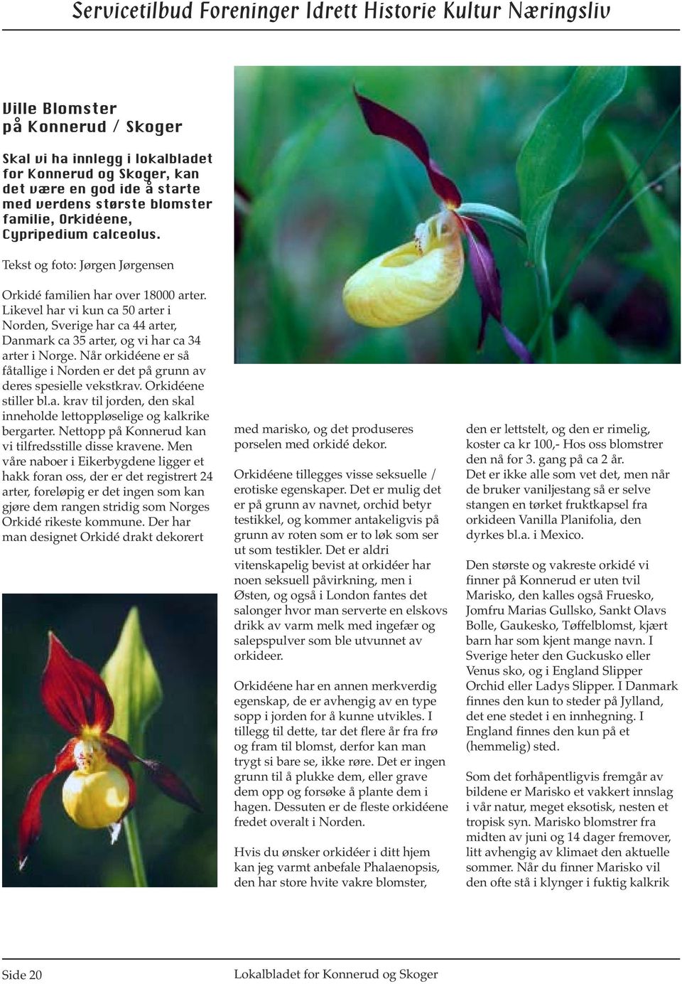 Når orkidéene er så fåtallige i Norden er det på grunn av deres spesielle vekstkrav. Orkidéene stiller bl.a. krav til jorden, den skal inneholde lettoppløselige og kalkrike bergarter.