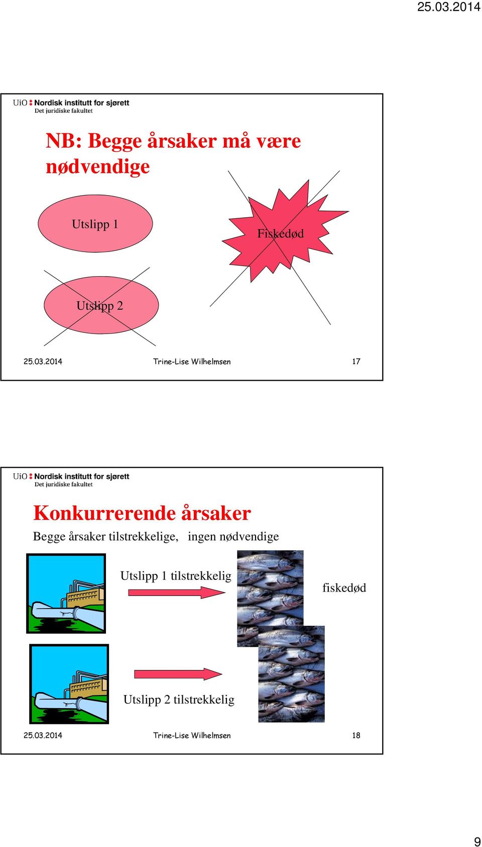 2014 Trine-Lise Wilhelmsen 17 Konkurrerende årsaker Begge årsaker