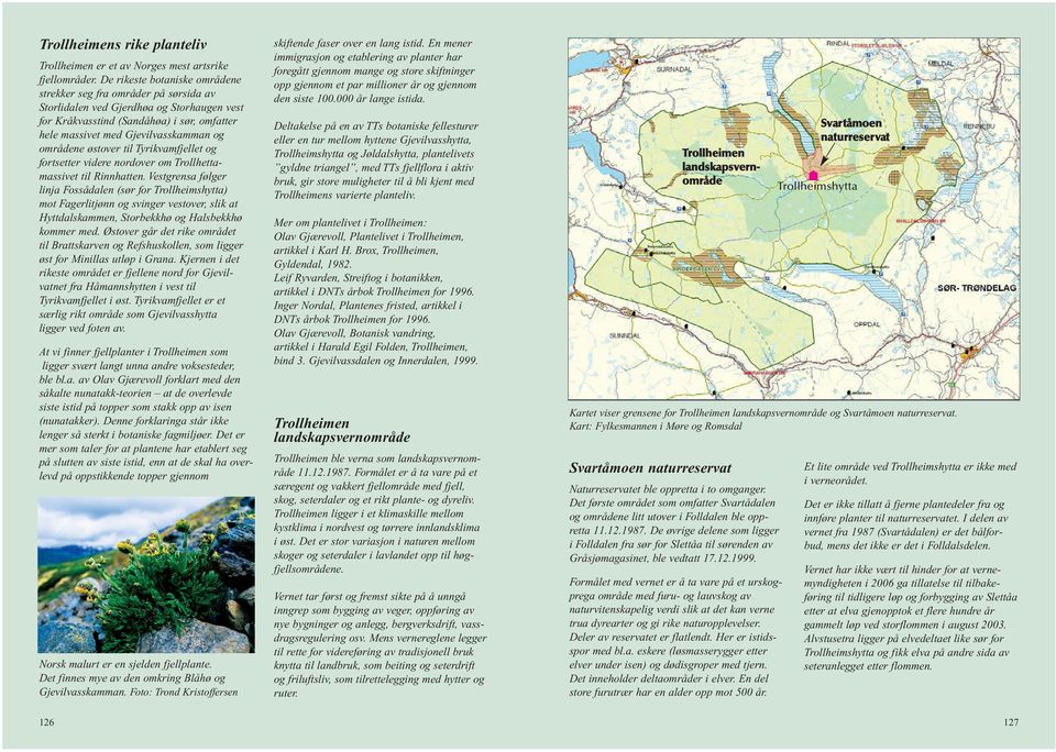 områdene østover til Tyrikvamfjellet og fortsetter videre nordover om Trollhettamassivet til Rinnhatten.