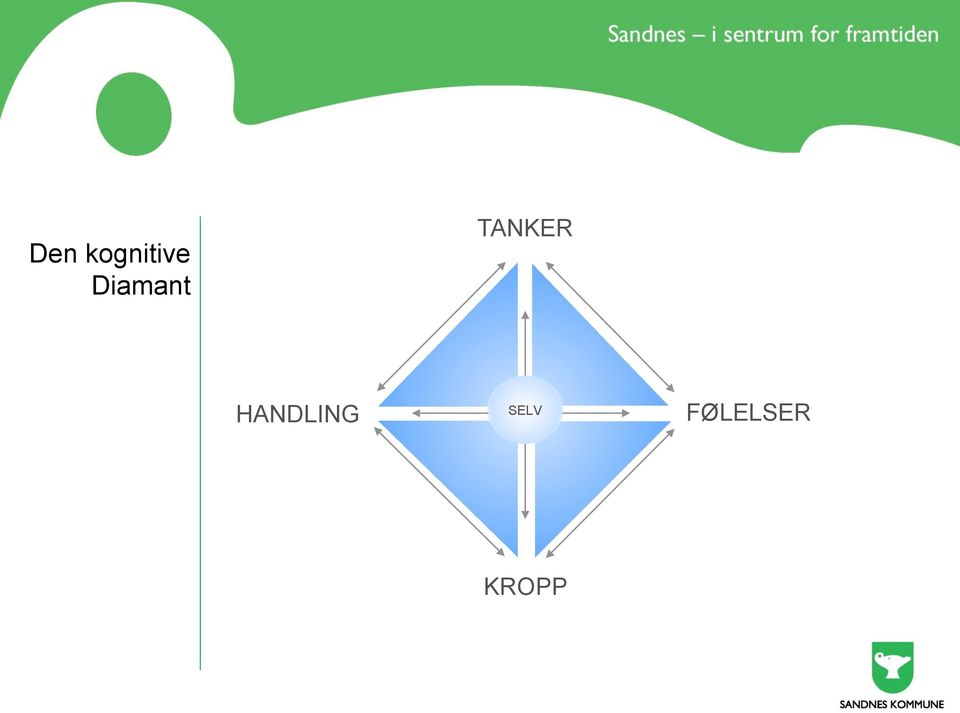 HANDLING SELV