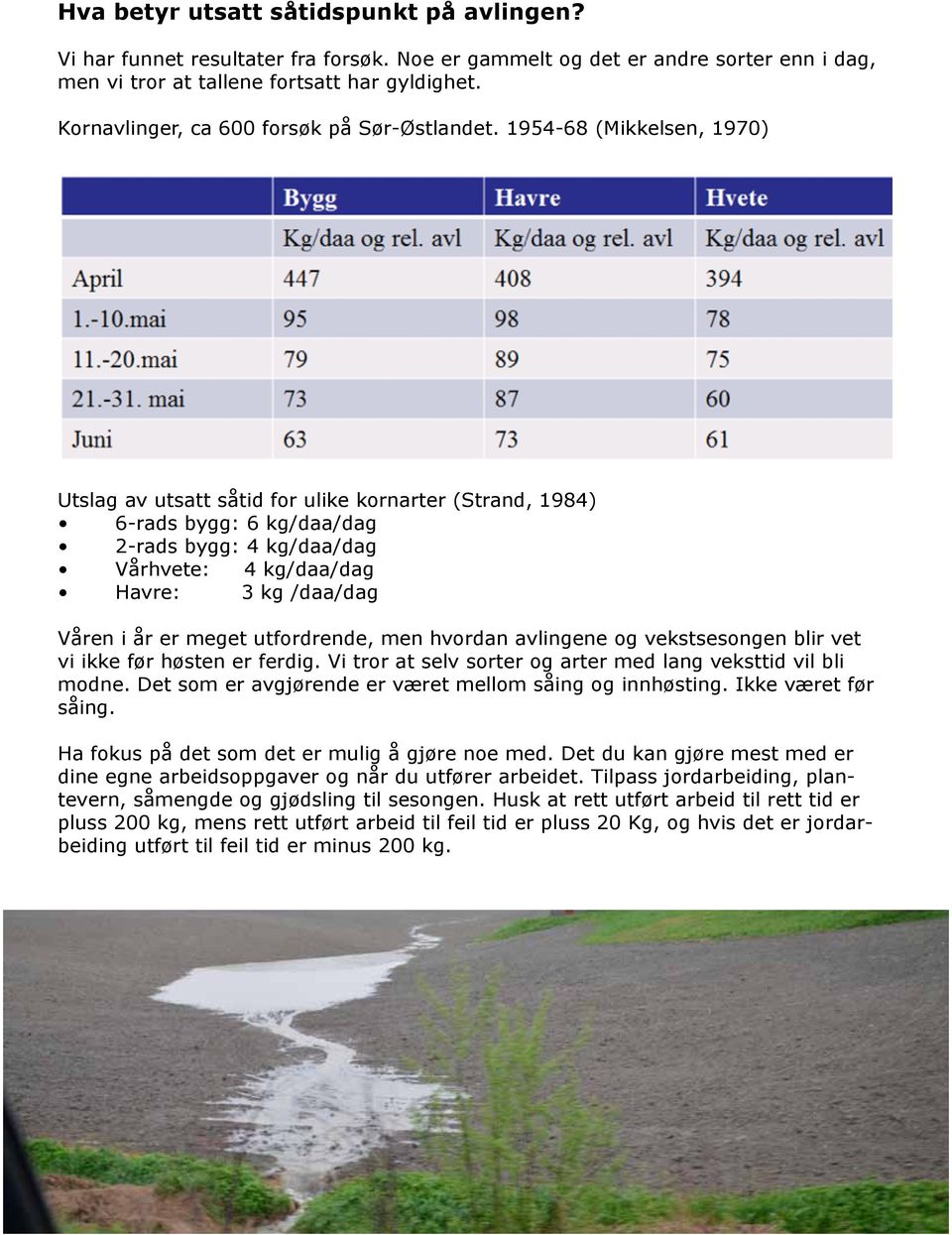 1954-68 (Mikkelsen, 1970) Utslag av utsatt såtid for ulike kornarter (Strand, 1984) 6-rads bygg: 6 kg/daa/dag 2-rads bygg: 4 kg/daa/dag Vårhvete: 4 kg/daa/dag Havre: 3 kg /daa/dag Våren i år er meget