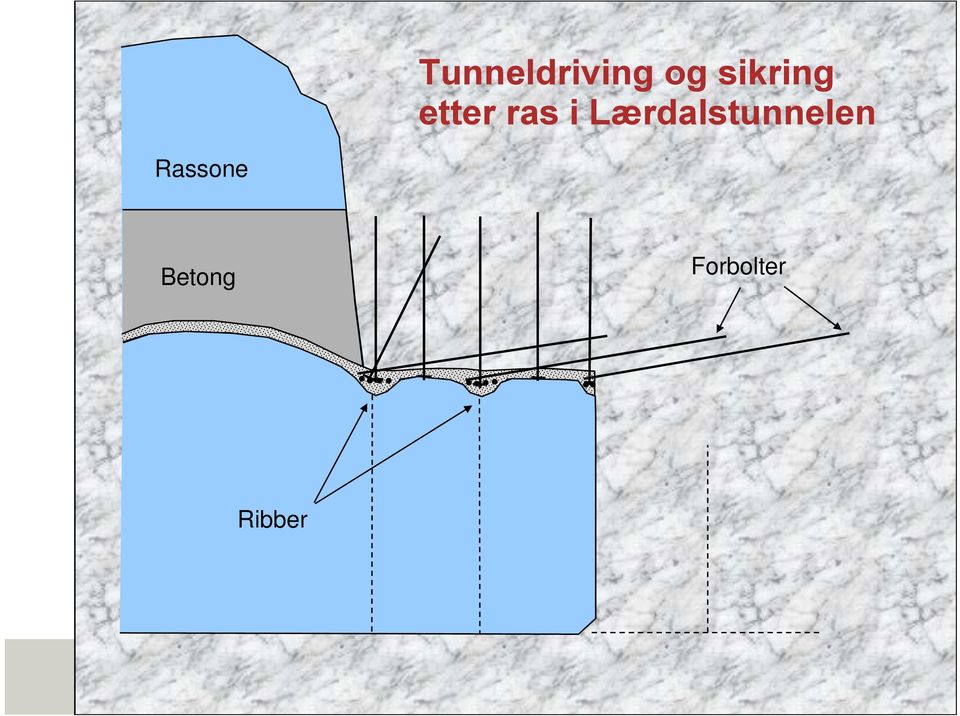 Lærdalstunnelen