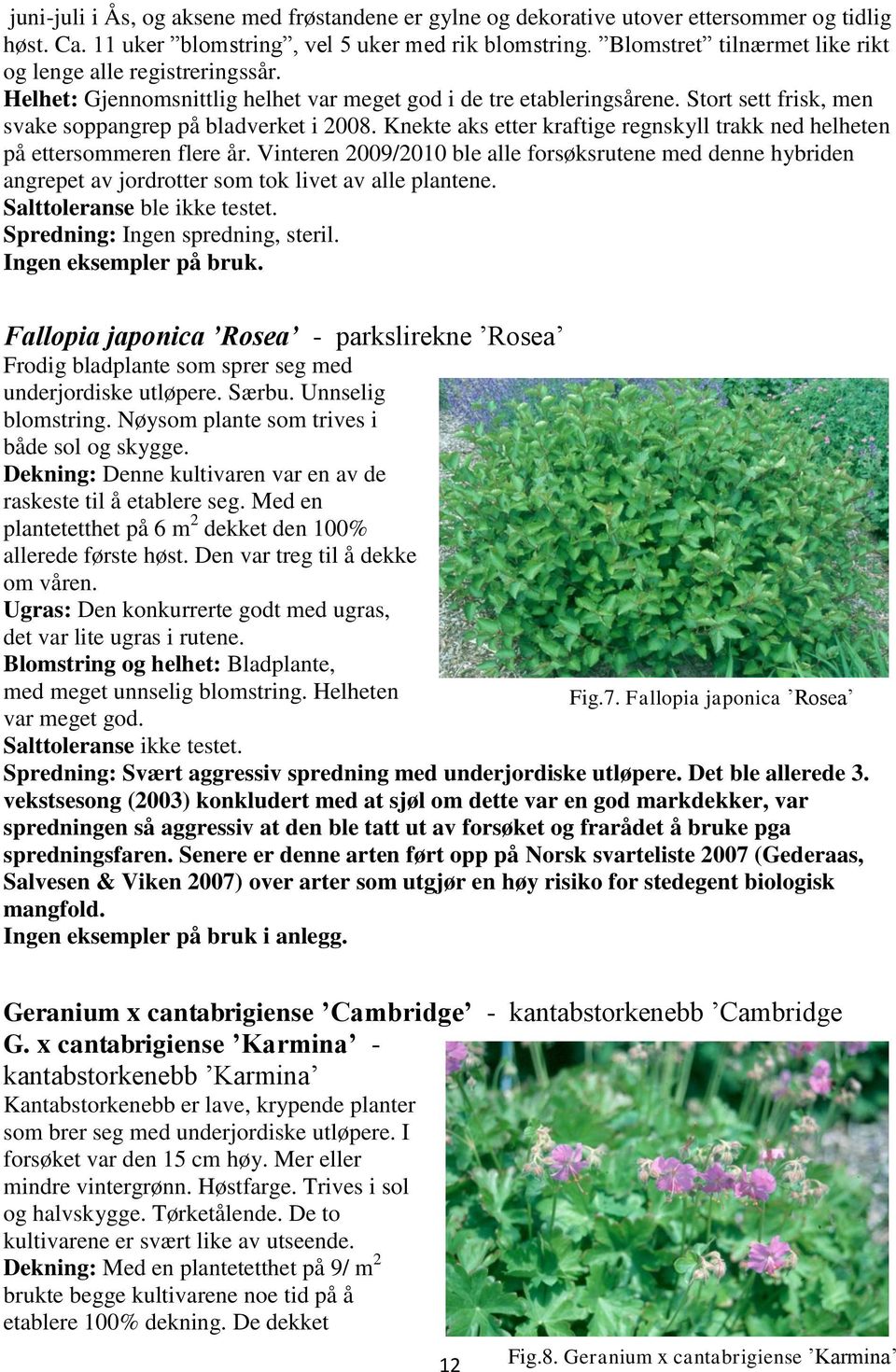 Knekte aks etter kraftige regnskyll trakk ned helheten på ettersommeren flere år. Vinteren 2009/2010 ble alle forsøksrutene med denne hybriden angrepet av jordrotter som tok livet av alle plantene.