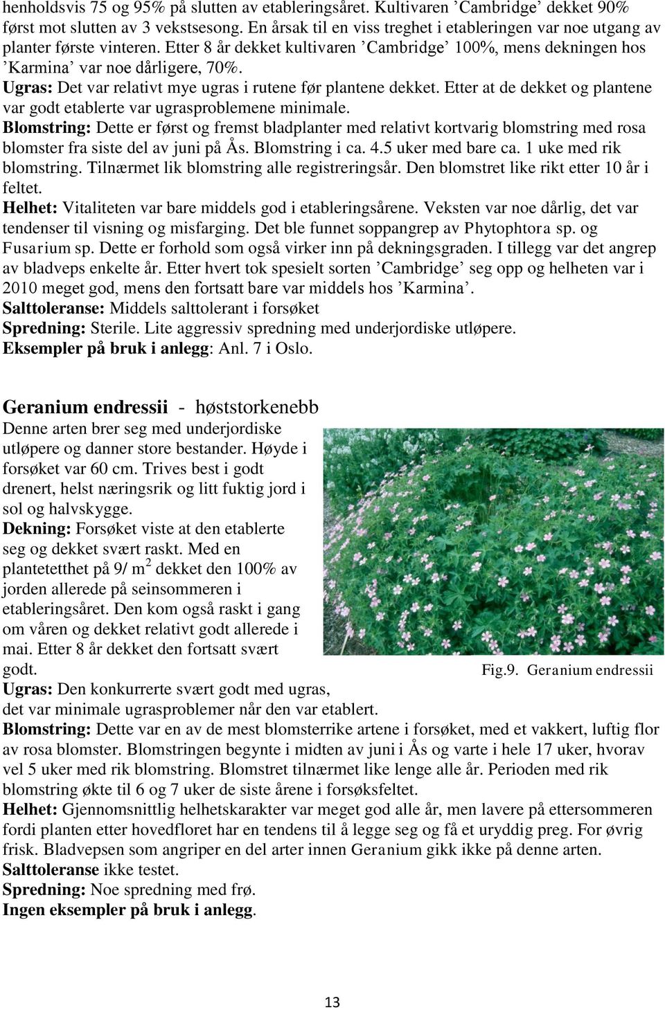 Ugras: Det var relativt mye ugras i rutene før plantene dekket. Etter at de dekket og plantene var godt etablerte var ugrasproblemene minimale.