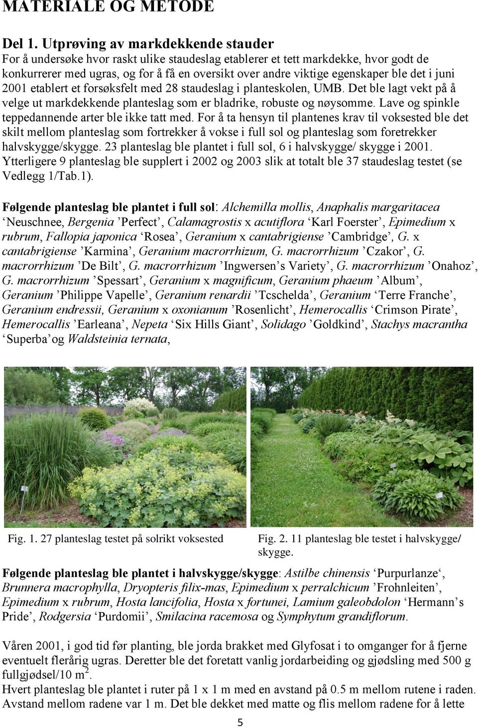 ble det i juni 2001 etablert et forsøksfelt med 28 staudeslag i planteskolen, UMB. Det ble lagt vekt på å velge ut markdekkende planteslag som er bladrike, robuste og nøysomme.