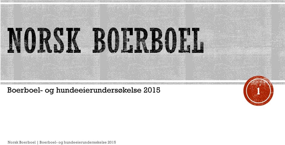 2015 1 Norsk Boerboel  