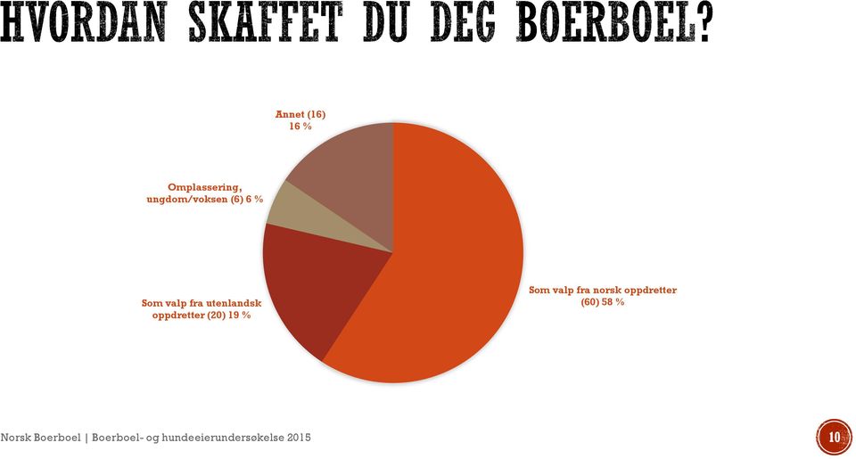 Som valp fra norsk oppdretter (60) 58 % Norsk