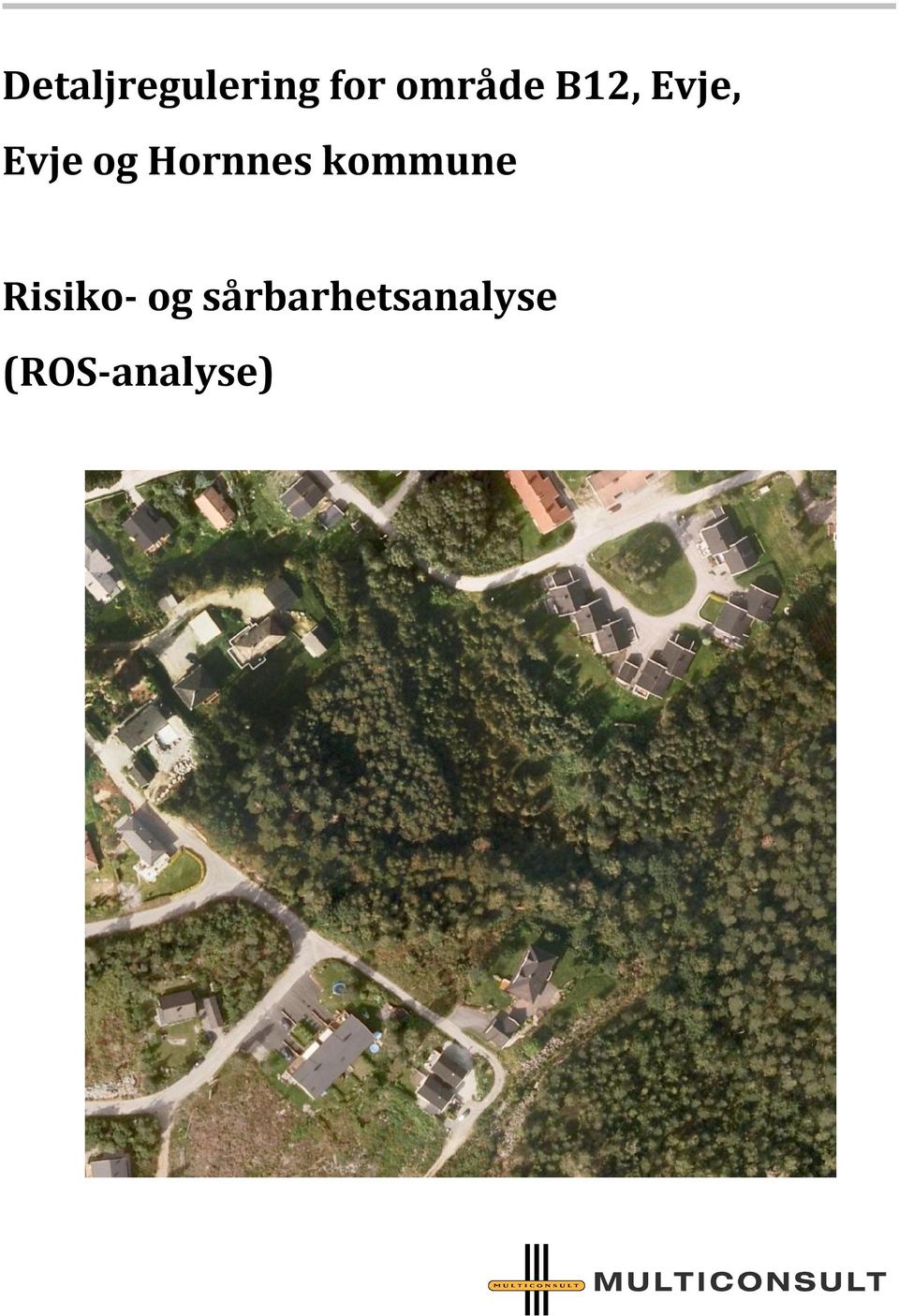 Hornnes kommune Risiko- og