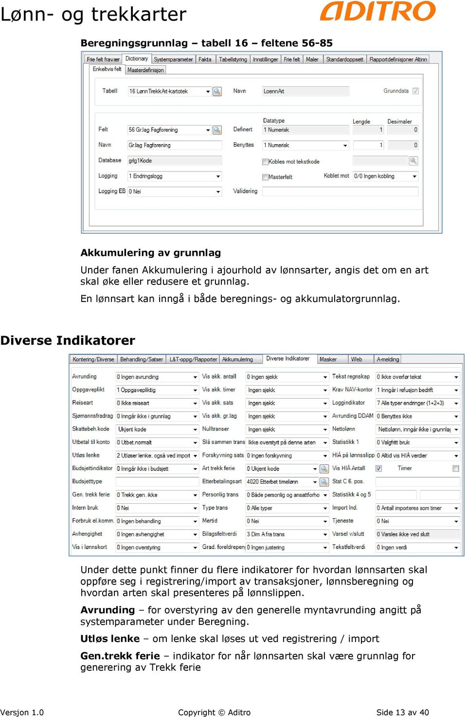 Diverse Indikatorer Under dette punkt finner du flere indikatorer for hvordan lønnsarten skal oppføre seg i registrering/import av transaksjoner, lønnsberegning og hvordan arten skal